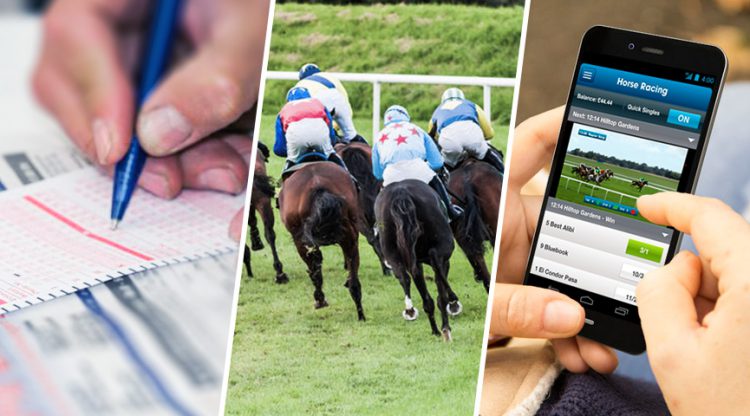 horseracing-faq-betting-on-horses-q-and-a