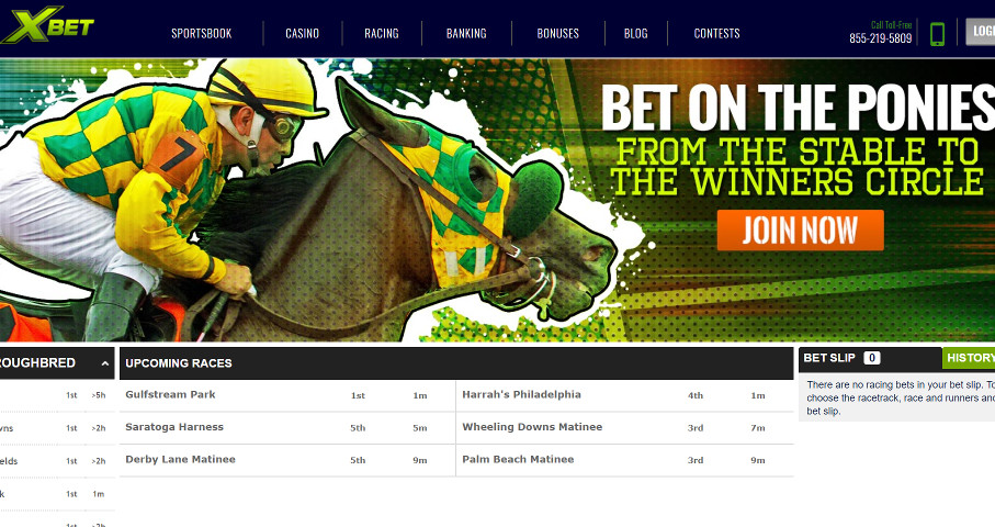 1xbet 789