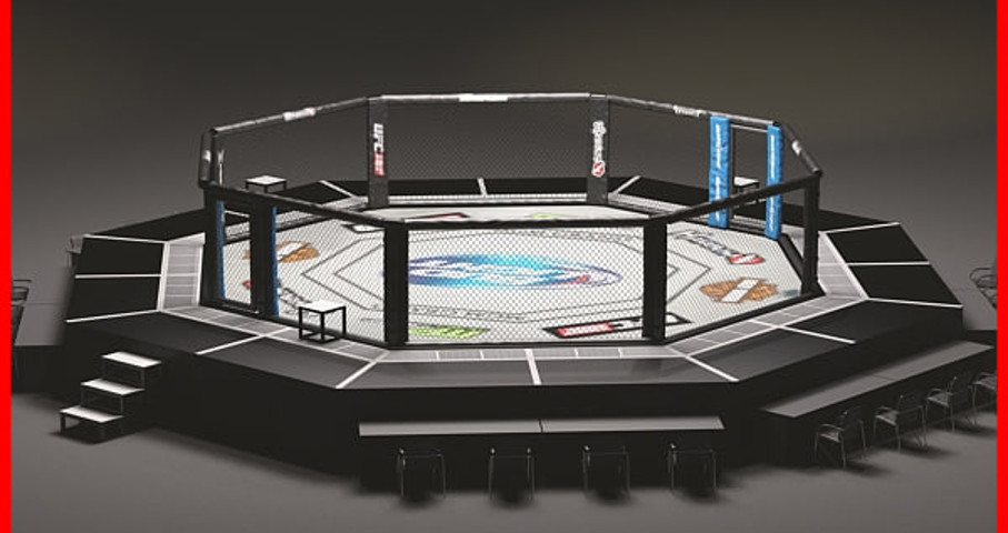 UFC Fighting Ring