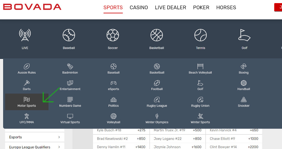 bovada racing page